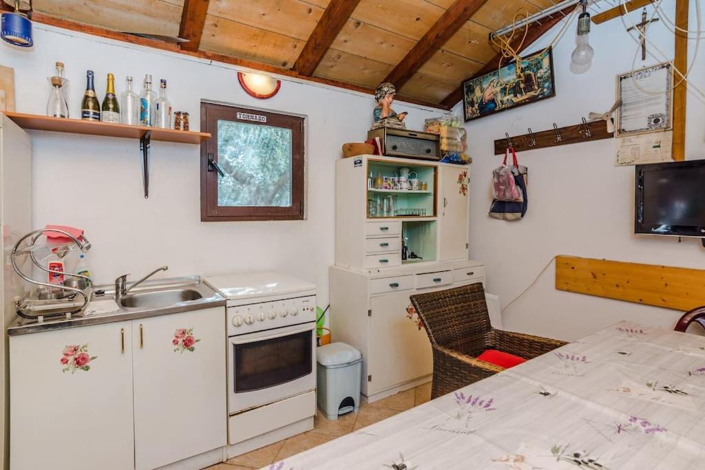 Apartment Roko - Up To 4 People With Free Parking Zadar Exteriör bild
